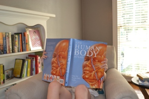 The body atlas certainly holds their attention and encourages many, many questions. I wonder why...